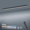 Paul Neuhaus PURE-LINES Plafondlamp LED Antraciet, 1-licht, Afstandsbediening