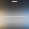 Paul Neuhaus PURE-LITE Hanglamp LED roestvrij staal, 1-licht