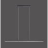 Paul Neuhaus PURE-LITE Hanglamp LED Antraciet, 1-licht