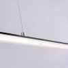 Paul Neuhaus PURE-LITE Hanglamp LED Antraciet, 1-licht