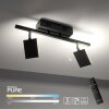 Paul Neuhaus PURE-MIRA Plafondlamp LED Zwart, 2-lichts, Afstandsbediening