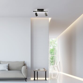 Paul Neuhaus PURE-MIRA Plafondlamp LED Zwart, 2-lichts, Afstandsbediening