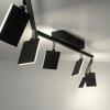 Paul Neuhaus PURE-MIRA Plafondlamp LED Zwart, 6-lichts, Afstandsbediening