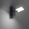 Paul Neuhaus PURE-MIRA Muurlamp LED Zwart, 2-lichts, Afstandsbediening