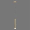 Paul Neuhaus PURE-VEGA Hanglamp LED Messing, 3-lichts