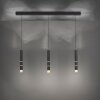 Paul Neuhaus PURE-VEGA Hanglamp LED Zwart, 9-lichts