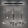 Paul Neuhaus PURE-VEGA Hanglamp LED Zwart, 9-lichts