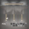 Paul Neuhaus PURE-VEGA Hanglamp LED Messing, 9-lichts