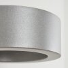 Azervadinha Buiten muurverlichting LED Zilver, 1-licht