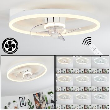 Oleiro plafondventilator LED Grijs, Wit, 1-licht, Afstandsbediening