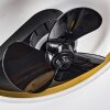 Oleiro plafondventilator LED Goud, Zwart, Wit, 1-licht, Afstandsbediening