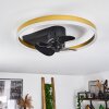 Oleiro plafondventilator LED Goud, Zwart, Wit, 1-licht, Afstandsbediening