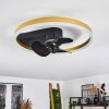 Oleiro plafondventilator LED Goud, Zwart, Wit, 1-licht, Afstandsbediening