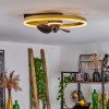 Oleiro plafondventilator LED Goud, Zwart, Wit, 1-licht, Afstandsbediening