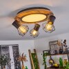 Bardhaman Plafondlamp LED Chroom, houtlook, Zwart, Wit, 1-licht