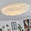 Adegoiva Plafondlamp LED Wit, 1-licht