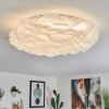 Adegoiva Plafondlamp LED Wit, 1-licht
