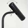 Dalheim Staande lamp LED Zwart, 1-licht