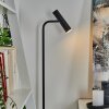 Dalheim Staande lamp LED Zwart, 1-licht