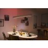 Philips Hue White & Colour Ambiance Ensis Hanglamp LED Wit, 2-lichts, Kleurwisselaar