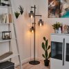 Gafa Staande lamp Zwart, 3-lichts