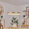 Charata Hanglamp LED Messing, 1-licht