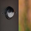 Kingstown Padverlichting Antraciet, 1-licht, Bewegingsmelder
