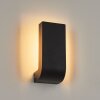 Kirkhall Buiten muurverlichting LED Zwart, 1-licht
