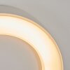 Paleroo Buiten muurverlichting LED Wit, 1-licht