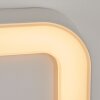 Paleroo Buiten muurverlichting LED Wit, 1-licht