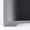 Brilliant Burty Buiten muurverlichting LED Zwart, 1-licht