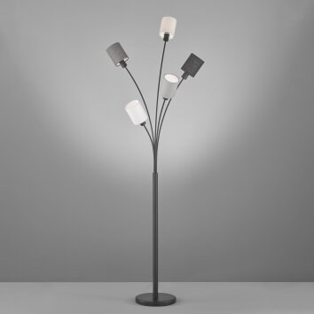 Fischer & Honsel Koi Staande lamp Zwart, 5-lichts