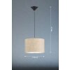 Fischer & Honsel Vigo Hanger Zwart, 1-licht