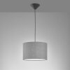 Fischer & Honsel Vigo Hanger Zwart, 1-licht