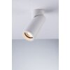 Luce-Design GENESIS-R6 Plafondlamp, 1-licht