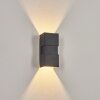 Coorabie Buiten muurverlichting LED Zwart, 2-lichts