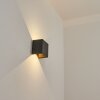 Hoods Buiten muurverlichting LED Antraciet, 2-lichts