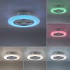 Leuchten-Direkt PATRICK plafondventilator LED Zilver, 1-licht, Afstandsbediening, Kleurwisselaar