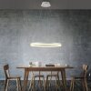 Paul-Neuhaus TITUS Hanglamp LED Wit, 1-licht