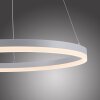 Paul-Neuhaus TITUS Hanglamp LED Wit, 1-licht