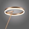 Paul-Neuhaus TITUS Staande lamp LED Messing, 1-licht