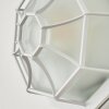 Ibacache Buiten muurverlichting Wit, 1-licht