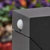 Toogong Padverlichting LED Antraciet, 1-licht, Bewegingsmelder