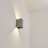 Hoods Buiten muurverlichting LED Grijs, 2-lichts