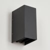 Hoods Buiten muurverlichting LED Antraciet, 2-lichts