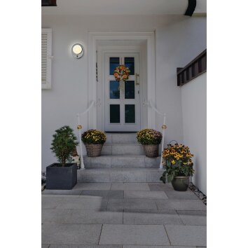 LEDVANCE ENDURA Buiten muurverlichting Staal geborsteld, 1-licht, Bewegingsmelder