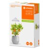 LEDVANCE Indoor Garden Grondspies Wit, 1-licht