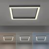 Paul-Neuhaus PURE-LINES Plafondlamp LED Antraciet, 1-licht, Afstandsbediening