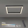 Paul-Neuhaus PURE-LINES Plafondlamp LED Antraciet, 1-licht, Afstandsbediening