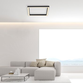 Paul-Neuhaus PURE-LINES Plafondlamp LED Antraciet, 1-licht, Afstandsbediening